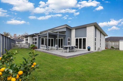 Photo of property in 49 Ritchie Street, Te Aroha, 3320