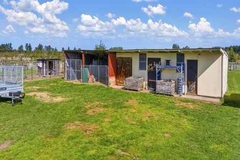 Photo of property in 656 Downs Road, Eyrewell, Rangiora, 7476