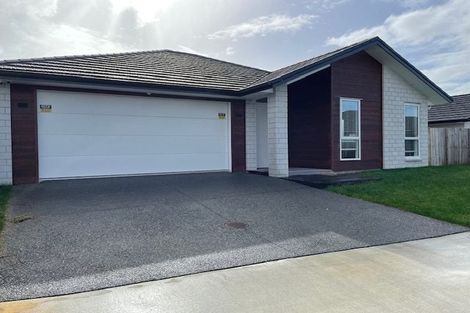 Photo of property in 38 Maggie Place, Chartwell, Hamilton, 3210