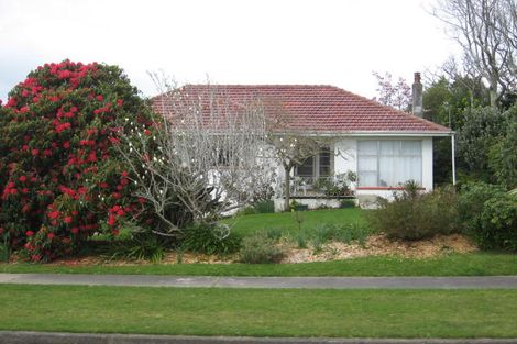 Photo of property in 67 Kawiu Road, Levin, 5510
