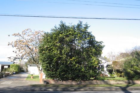 Photo of property in 707 Nelson Street North, Hastings, 4122
