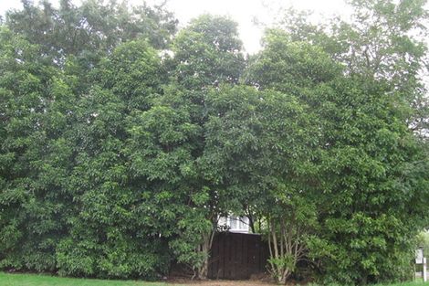 Photo of property in 24 Woodside Road, Massey, Auckland, 0614
