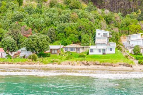 Photo of property in 202 Pourerere Beach Road, Aramoana, Omakere, 4271