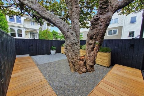 Photo of property in 99 Webb Street, Mount Cook, Wellington, 6011
