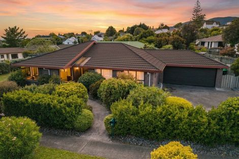 Photo of property in 5 Rochfort Drive, Richmond, 7020