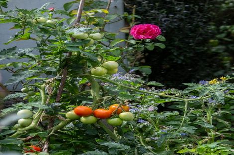 Photo of property in 52 Rayner Road, Huntly, 3700