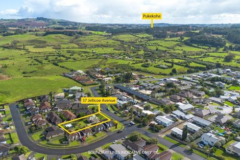 Photo of property in 37 Jellicoe Avenue, Tuakau, 2121