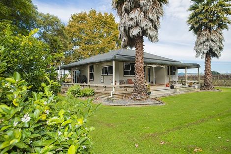 Photo of property in 144 Ngakoroa Road, Ormond, Gisborne, 4071