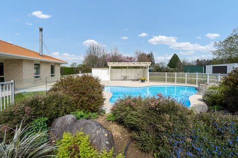 Photo of property in 13 Hogan Road, Cambridge, 3493