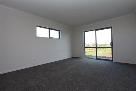 Photo of property in 45 Lulu Avenue, Chartwell, Hamilton, 3210