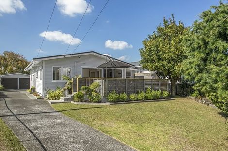 Photo of property in 84 Tiraumea Drive, Pakuranga, Auckland, 2010