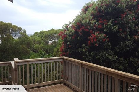 Photo of property in 63 Wright Street, Mount Cook, Wellington, 6021