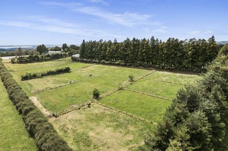 Photo of property in 598 Esdaile Road, Whakamarama, Tauranga, 3180