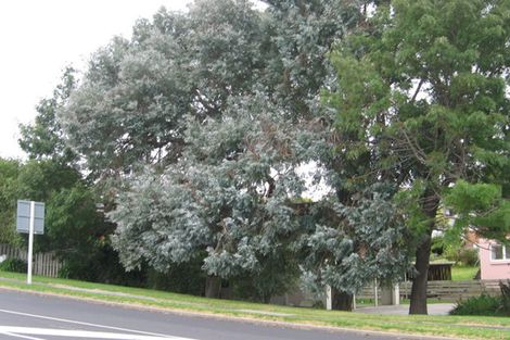 Photo of property in 1/74 Sunnybrae Road, Hillcrest, Auckland, 0627