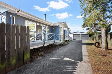 Photo of property in 10 Hinerau Street, Henderson, Auckland, 0612