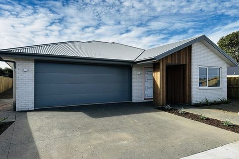 Photo of property in 49 Henshaw Street, Woodend, 7610