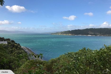 Photo of property in 1/12 Te Anau Avenue, Hataitai, Wellington, 6021