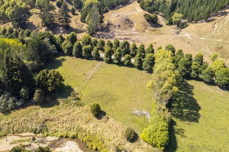 Photo of property in 196 Tinui Valley Road, Tinui Valley, Tinui, 5894