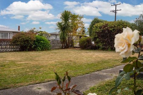 Photo of property in 9 Brewer Street, Blenheim, 7201