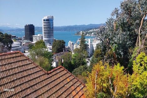 Photo of property in 7 Waiteata Road, Kelburn, Wellington, 6012