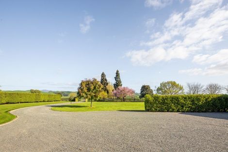 Photo of property in 365 Maungatautari Road, Cambridge, 3494