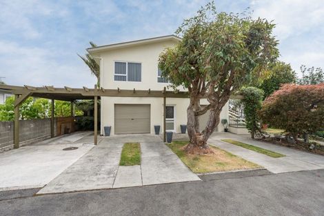 Photo of property in 22 Hebberd Place, Richmond, 7020