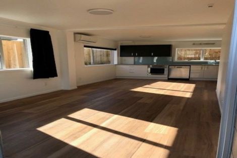 Photo of property in 61 Newcastle Road, Dinsdale, Hamilton, 3204