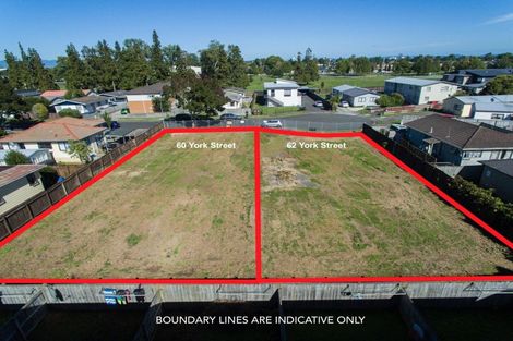 Photo of property in 60 York Street, Hamilton East, Hamilton, 3216