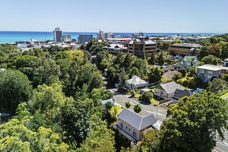 Photo of property in 28 Carrington Street, New Plymouth, 4310