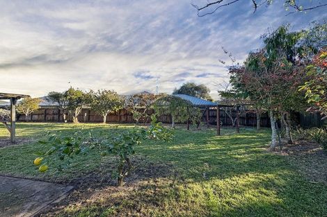 Photo of property in 15 Tuirangi Street, Flagstaff, Hamilton, 3210