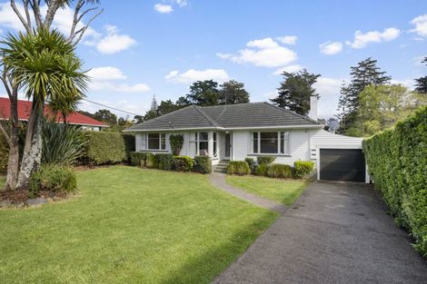 Photo of property in 67 Smythe Road, Henderson, Auckland, 0612