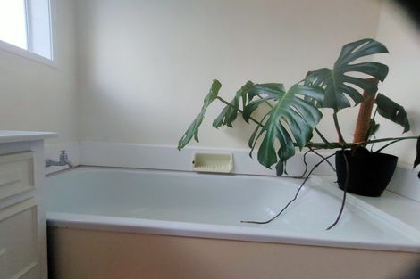 Photo of property in 175f1 Mitchell Street, Brooklyn, Wellington, 6021