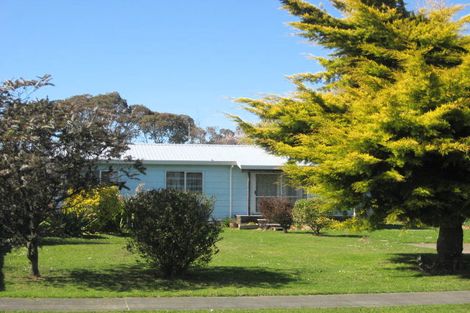 Photo of property in 16 Waitere Street, Marton, 4710