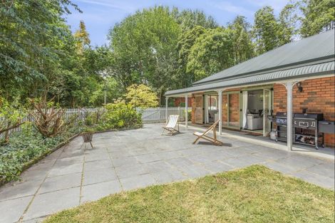 Photo of property in 3/193 Racecourse Road, Cambridge, 3493