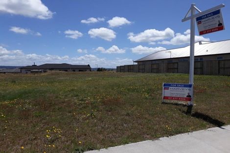 Photo of property in 9 Raupo Crescent, Wharewaka, Taupo, 3330