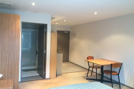 Photo of property in Dual Apartments, 108/142u Vivian Street, Te Aro, Wellington, 6011