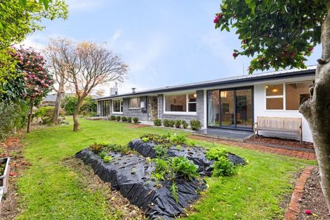Photo of property in 50 Windsor Street, Terrace End, Palmerston North, 4410
