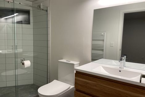 Photo of property in 27u1 Whaui Street, Vogeltown, Wellington, 6021