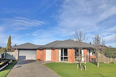 Photo of property in 31 Cardale Street, Darfield, 7510