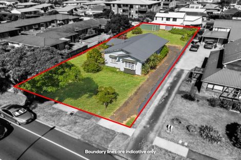 Photo of property in 110 Edinburgh Street, Pukekohe, 2120
