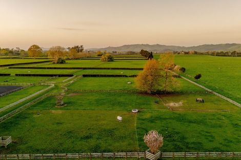 Photo of property in 365 Maungatautari Road, Cambridge, 3494