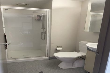 Photo of property in Dual Apartments, 408/142u Vivian Street, Te Aro, Wellington, 6011