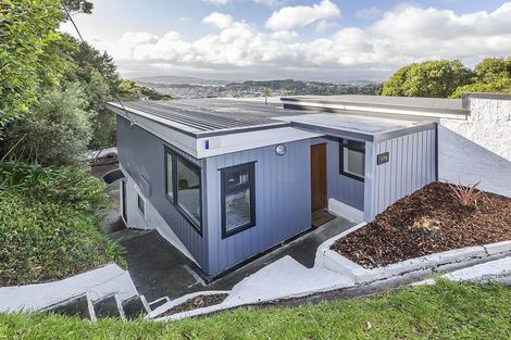 Photo of property in 175 The Ridgeway, Kingston, Wellington, 6021