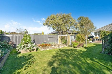 Photo of property in 114 Cornwall Street, Masterton, 5810