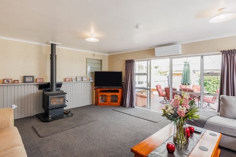 Photo of property in 145 Stanford Street North, Ashhurst, 4810