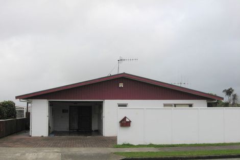 Photo of property in 23 Featherston Street, Levin, 5510