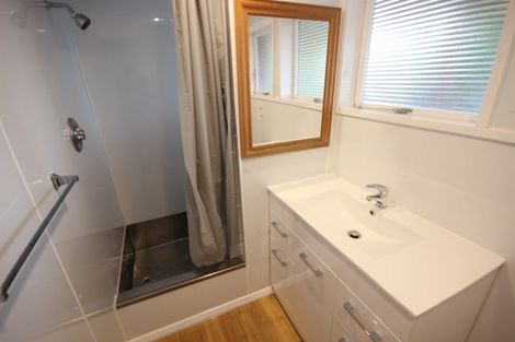 Photo of property in 48 Sheffield Street, Awapuni, Palmerston North, 4412