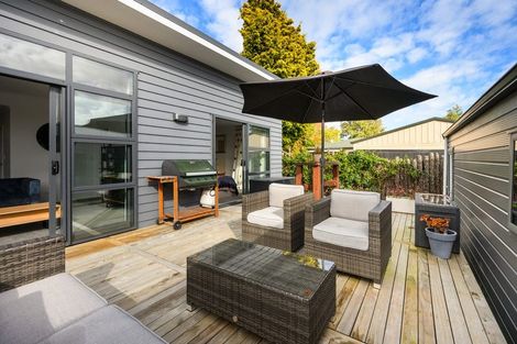 Photo of property in 36a Manchester Street, Takaro, Palmerston North, 4412