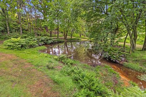Photo of property in 173 Thompsons Track, Aongatete, Katikati, 3178