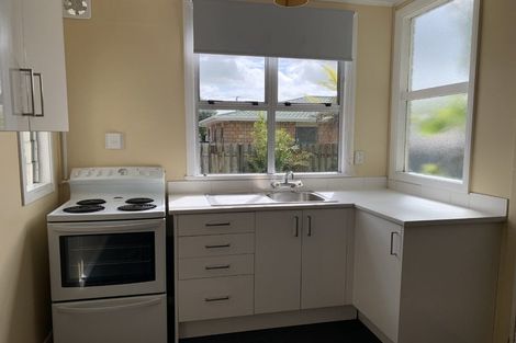 Photo of property in 138 Tiro Tiro Road, Levin, 5510